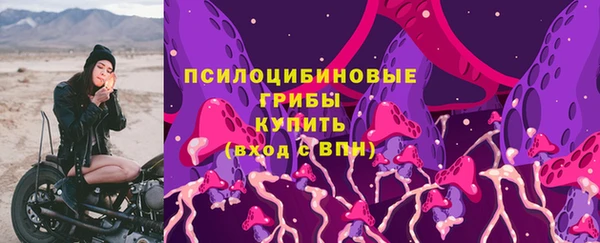 дурь Протвино